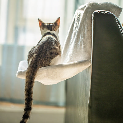 Hamac pour Chat Radiateur