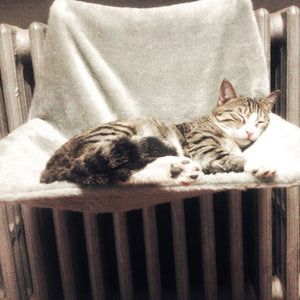 Hamac pour Chat Radiateur